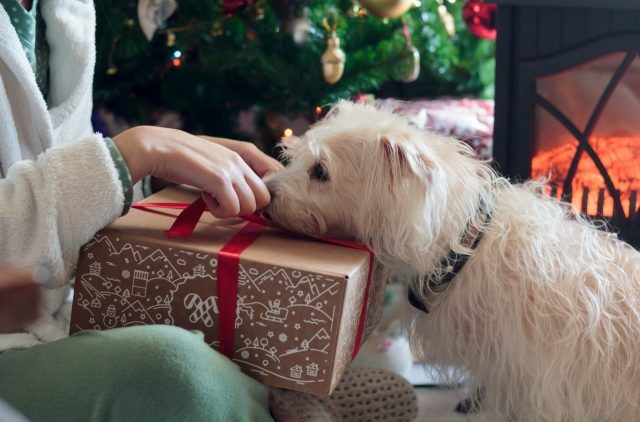 gifts for dog lovers under $20