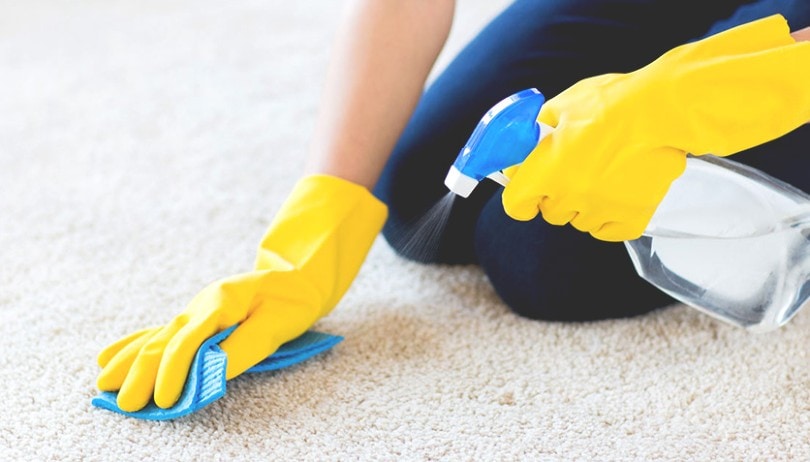 spraying carpet cleaner on the carpet Syda Productions Shutterstock