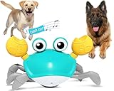 HONGID Crawling Crab Dog Toys,Escaping Crab Dog Toy with Obstacle Avoidance Sensor,Interactive Dog Toys with Music Sounds & Lights for Dogs Cats Pets,Christmas Toy Gifts for Puppy/Small/Medium Dogs