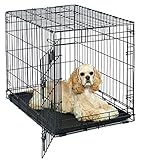 Medium Dog Crate | MidWest Life Stages 30' Folding Metal Divider Panel, Floor Protecting Feet, Plastic Tray 30L x 19W 21H Inches, Breed