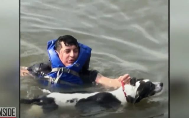 Birthday Celebration Paused as Man Rushes to Save Drowning Dog 1