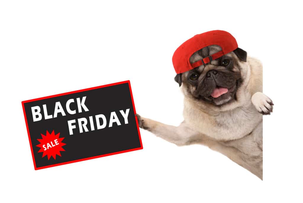 Black friday dog deals