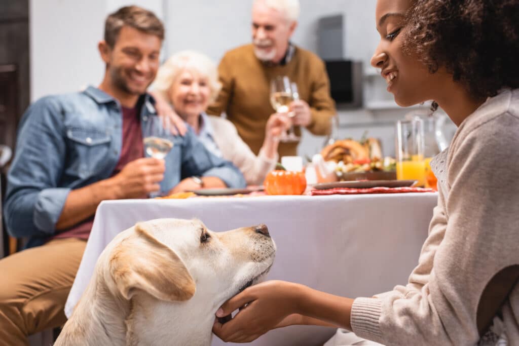 Girl stroking golden retriever while family celebrating thanksgiving day 1024x683 1