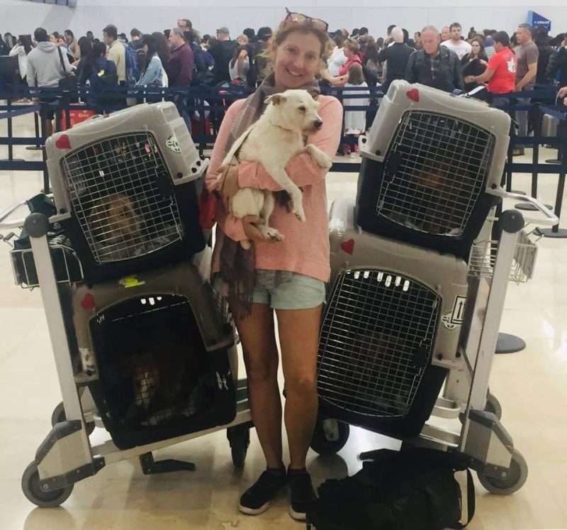 Heather with rescue dogs in airport