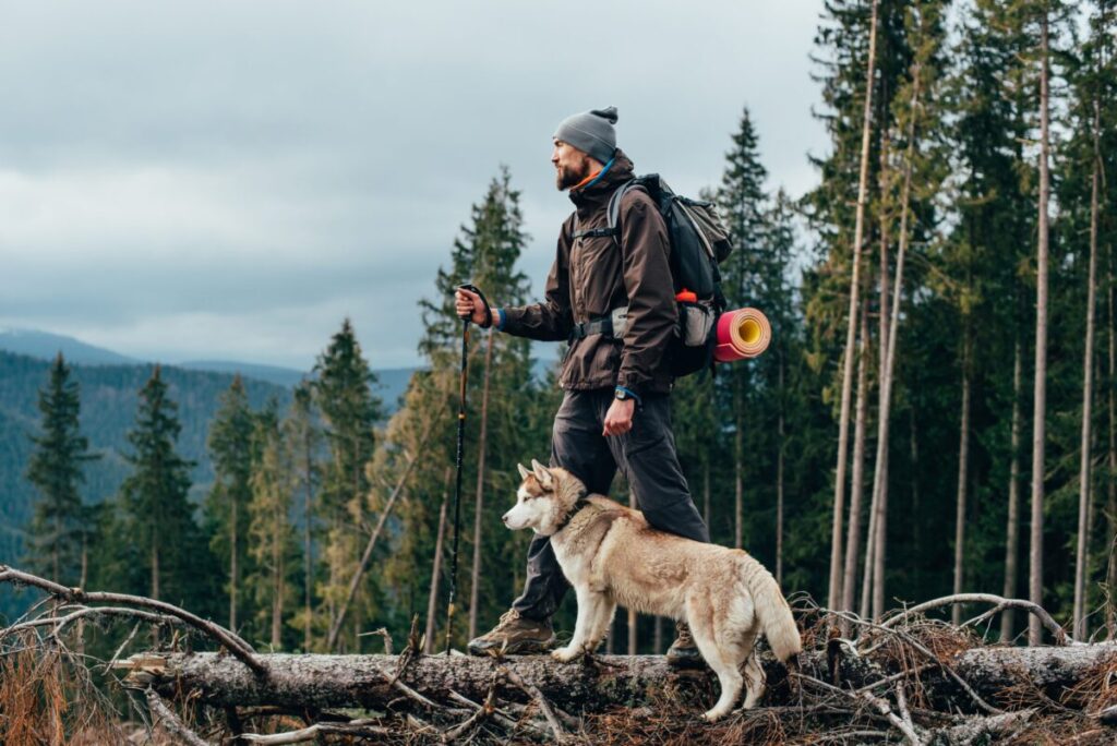 Husky and man hiking 1 scaled e1730371359357