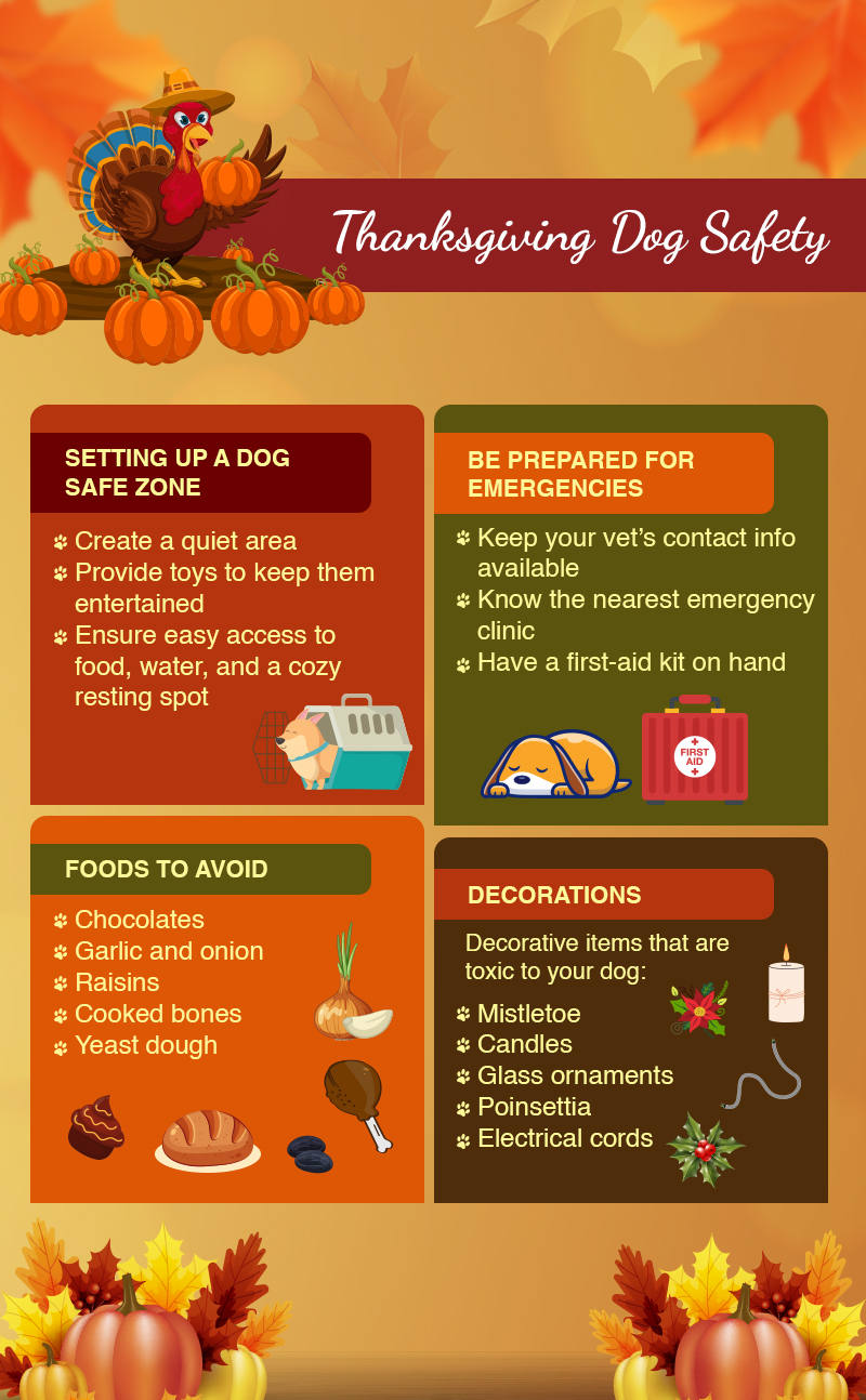 Infographic Thanksgiving Foods Your Dog