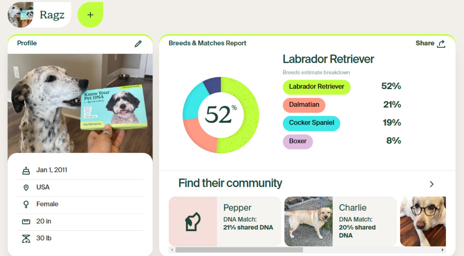 Know Your Pet Dog DNA Test - Ragz' ancestry