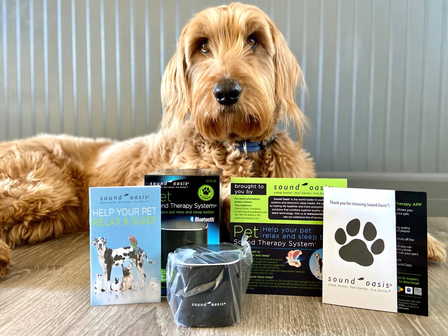 Pet Sound Therapy System Review - Micah with full packaging