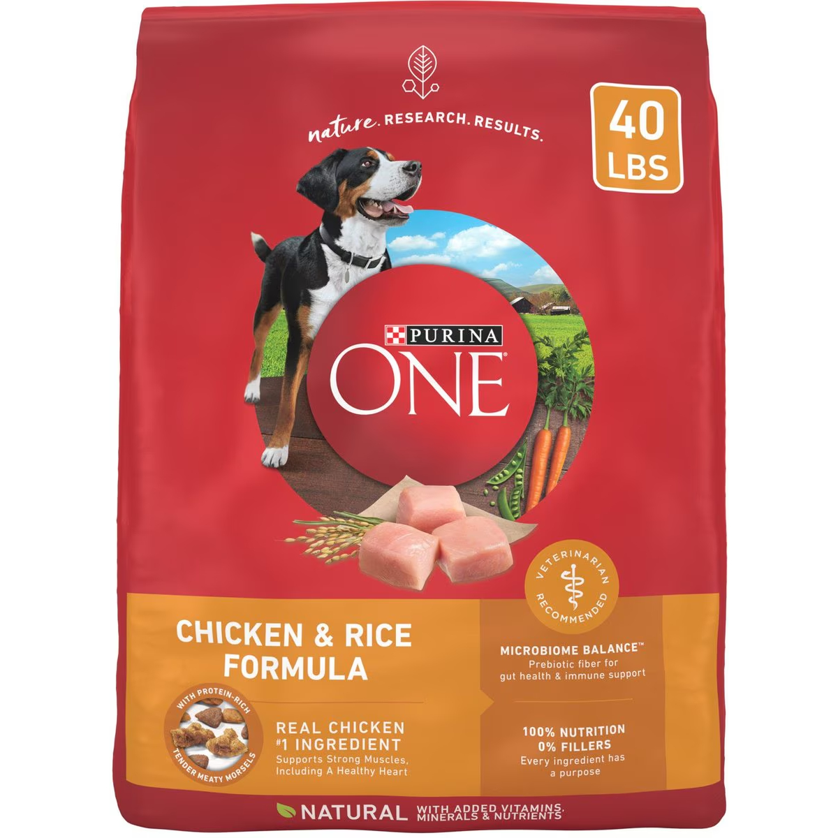 Purina ONE SmartBlend Chicken & Rice Adult Dry Dog Food