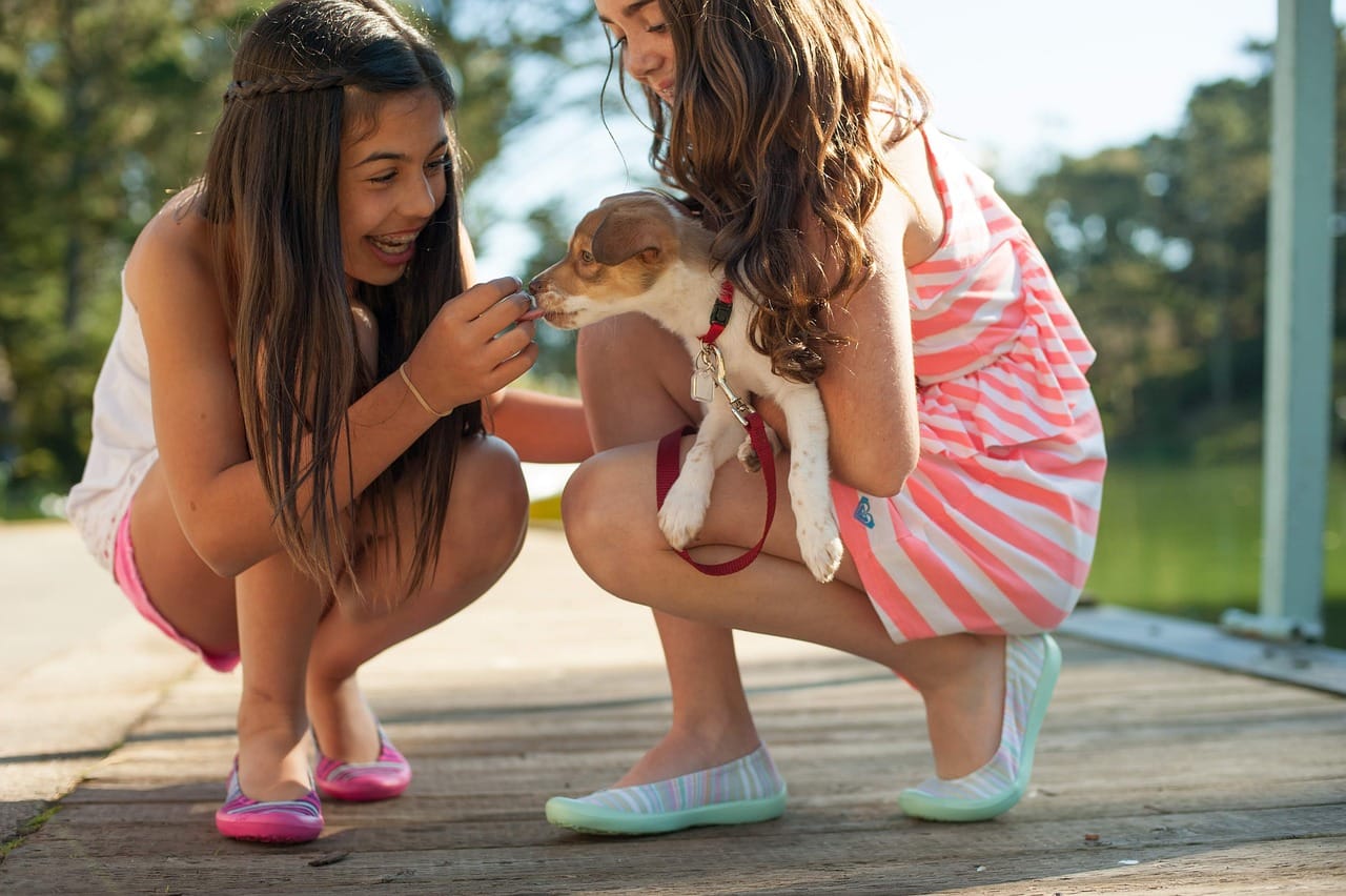 Dog with kids