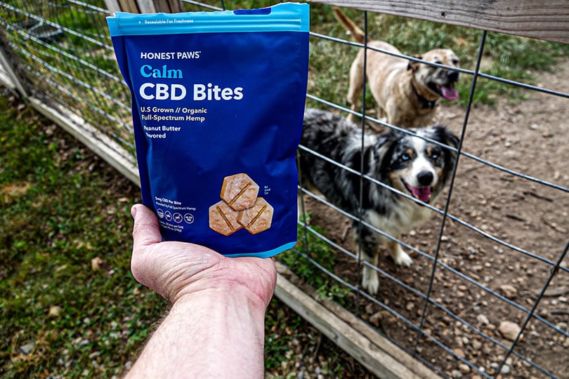 honest paws calm cbd bites