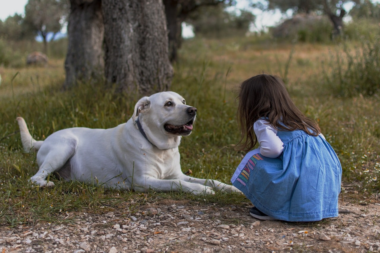 Girl with a dog