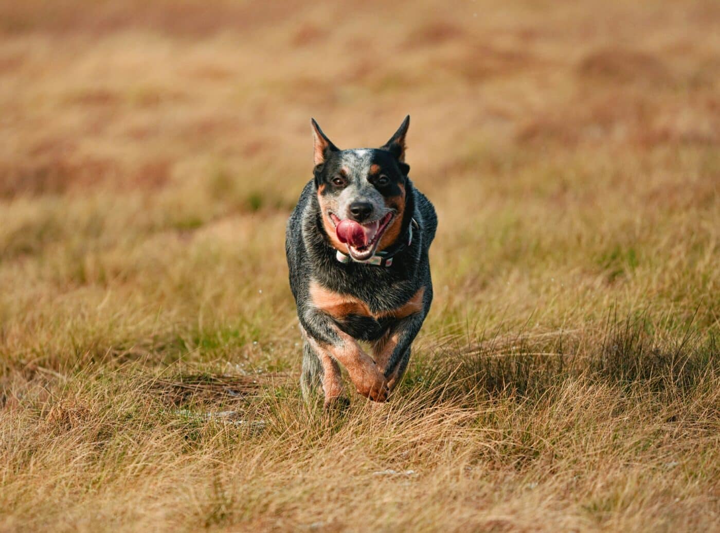 marcin wojna DmMpYYyrBOE unsplash 1400x1036 1