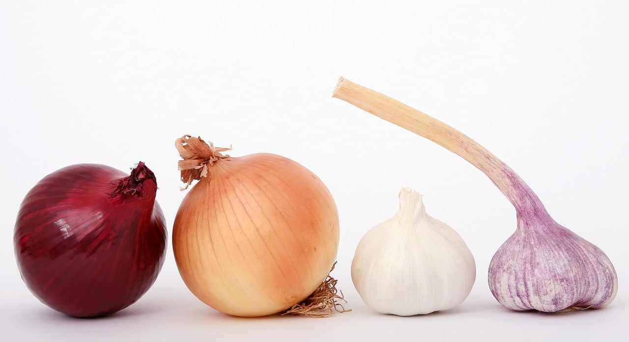 onions 1239423 1280