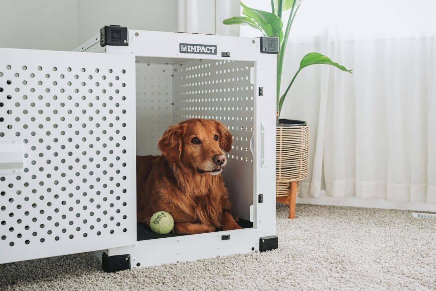 pexels impact dog crates 1789722873 28380666 1400x933 1