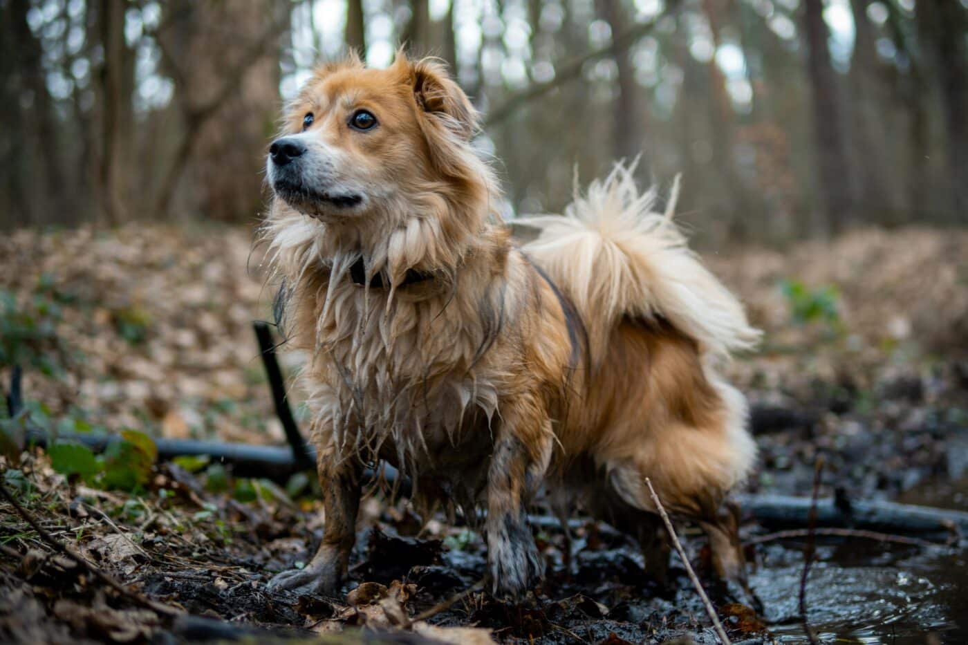 pexels michalrobak 20424486 1400x933 1