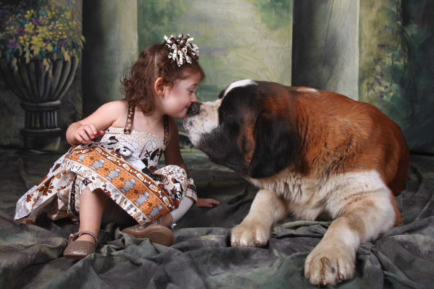 Saint Bernard