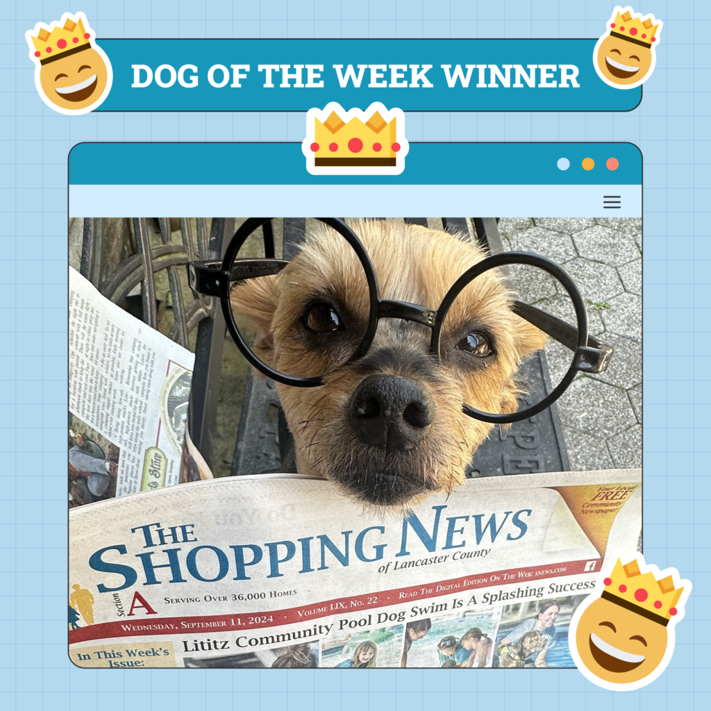 Dog Winner of the Week