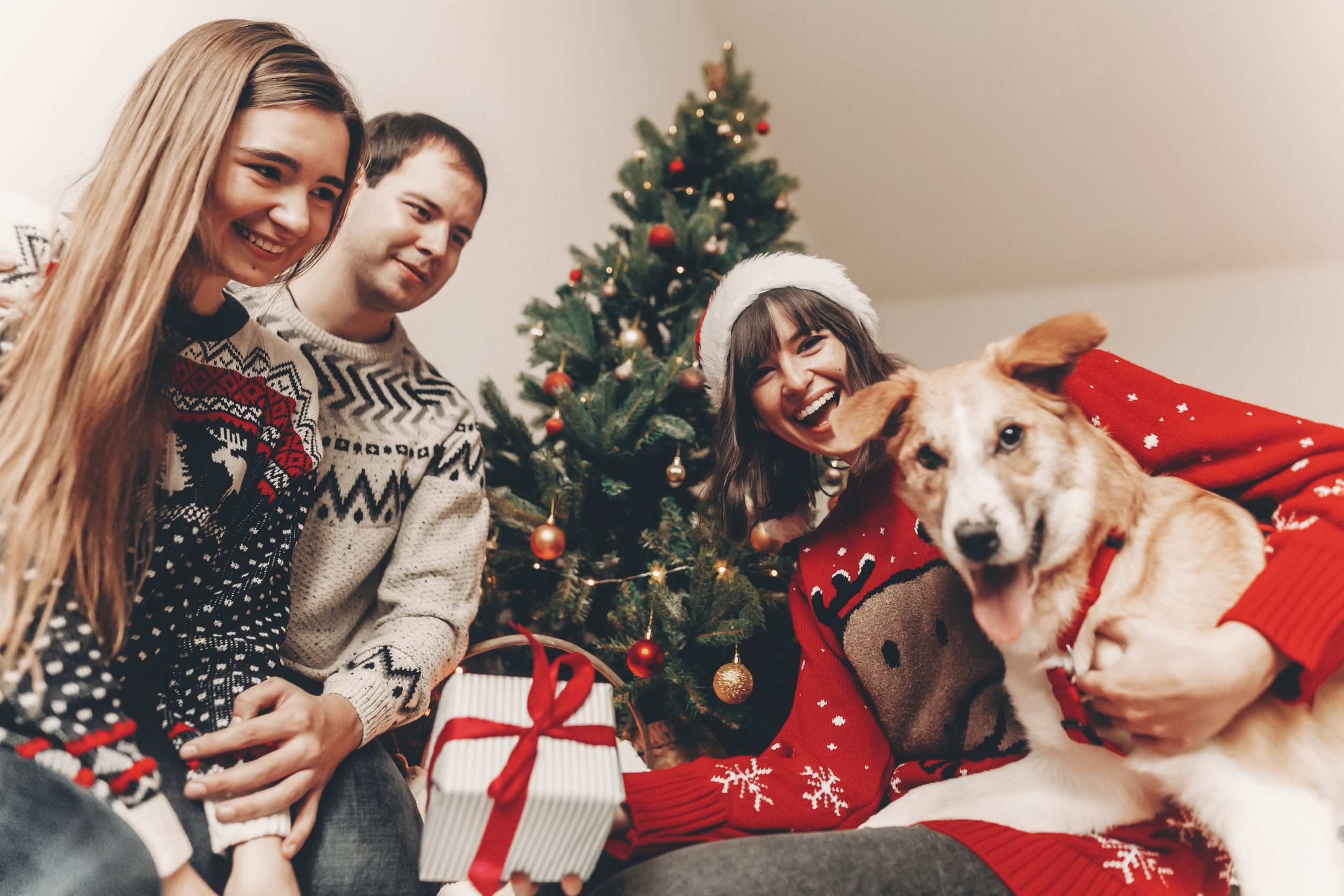 Family with dog excited about present scaled 1