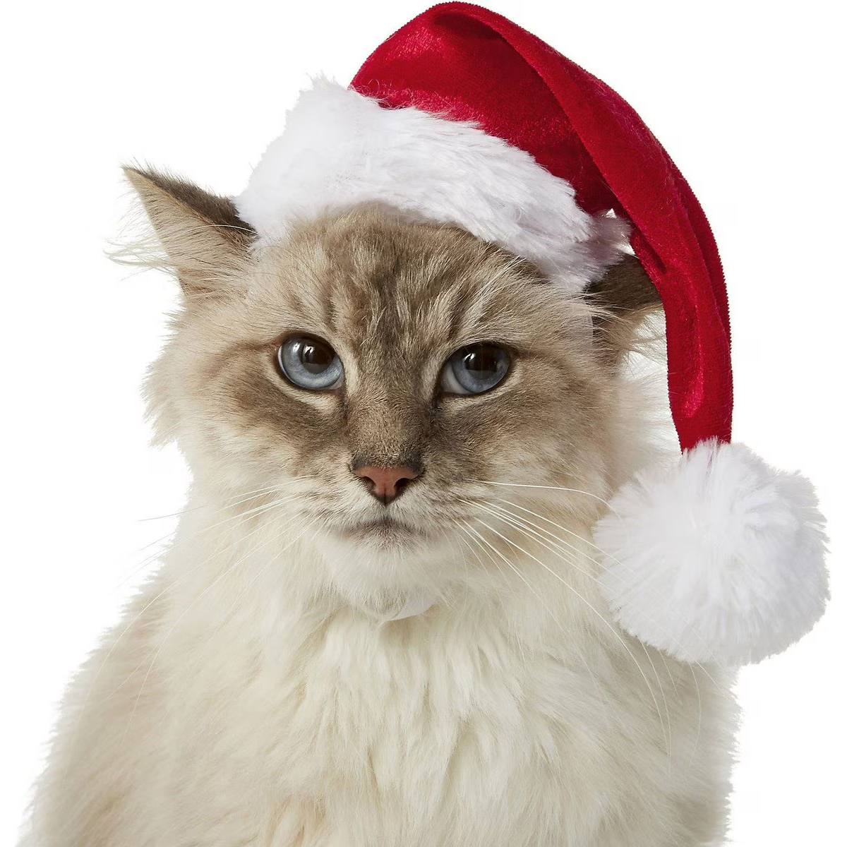 Frisco Holiday Dog & Cat Santa Hat