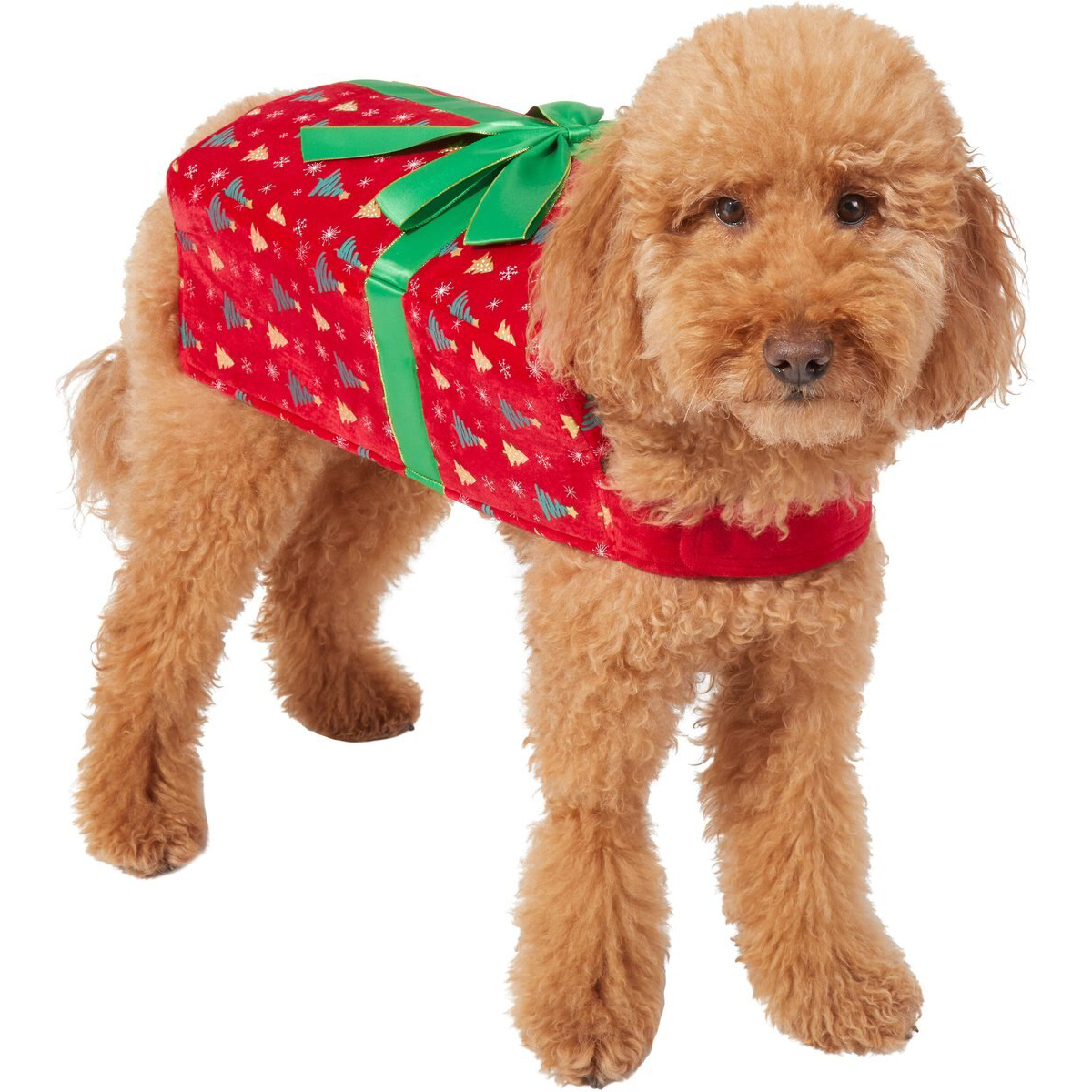 Frisco Holiday Gift Box Dog & Cat Costume