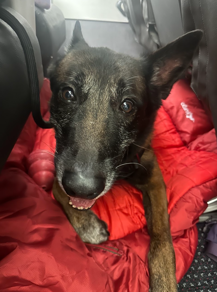 The journey home aboard an American Airlines flight (Yyacob even got his own seat!)