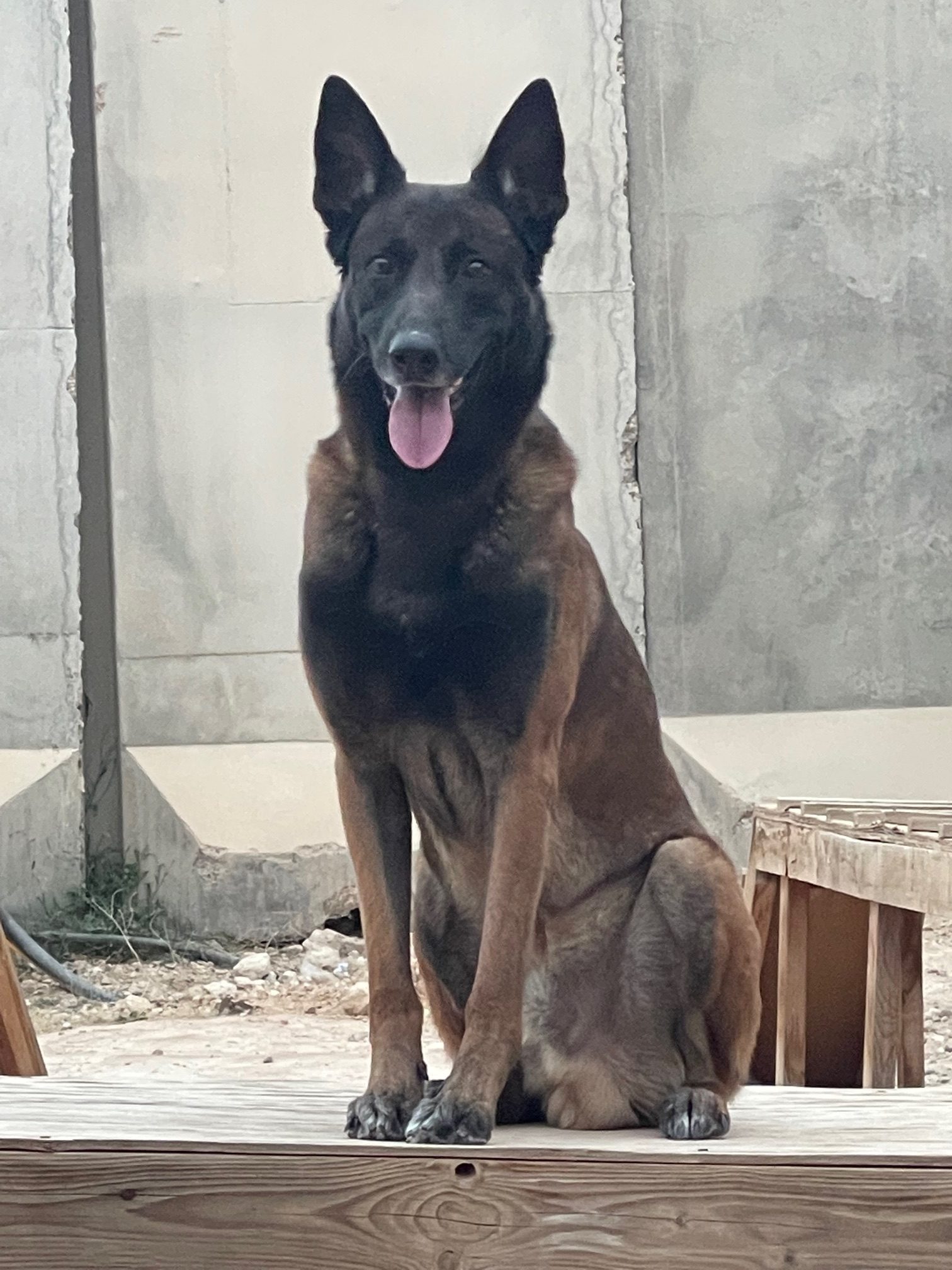 Yyacob looking very regal on duty in Iraq rotated 1