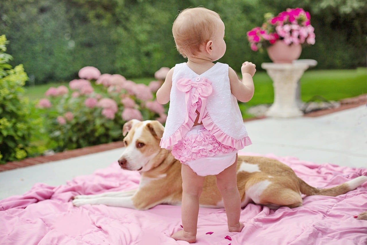 baby with dog 7388048 1280