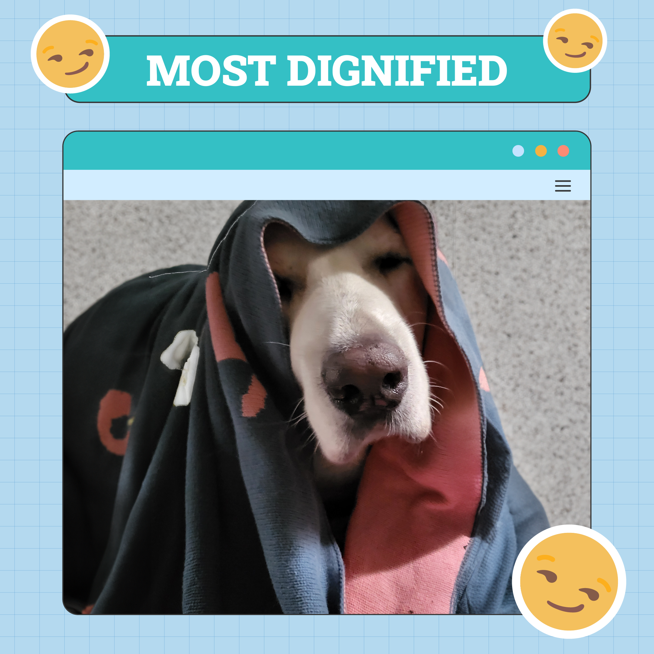 Most Dignified Dog Week