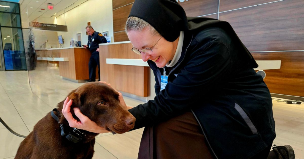Franciscan Health Michigan City adds comfort/security dog - LaPorteCounty.Life 2 wp header logo 105