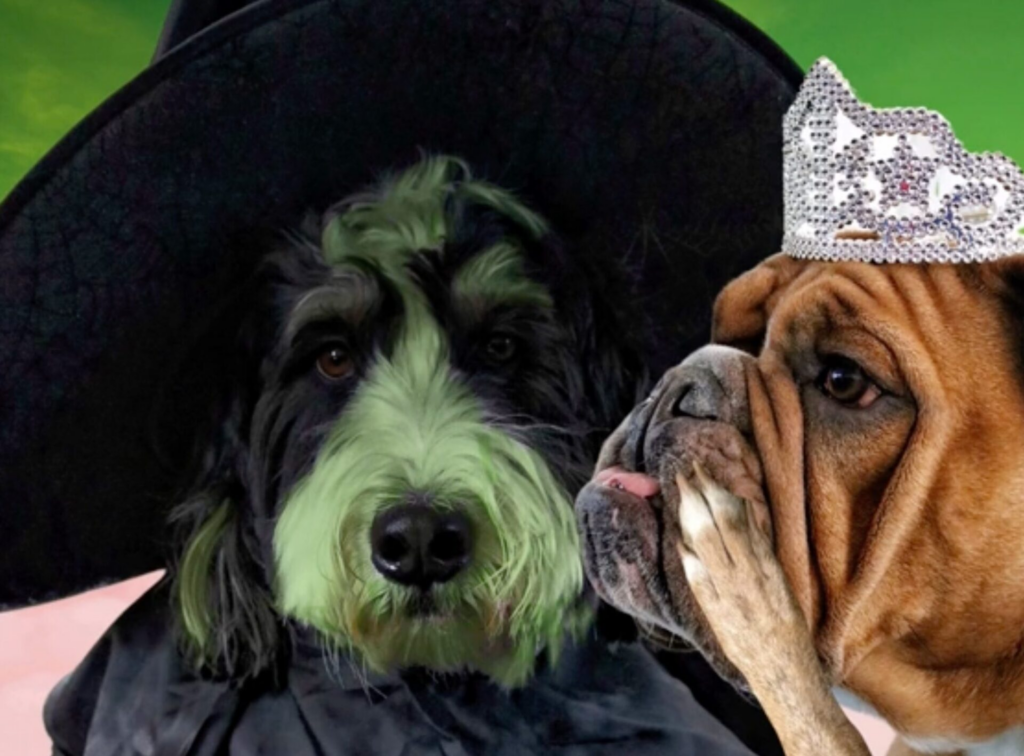 Dog Daycare Recreates the Film Posters of Oscar-Nominated Flicks - Good Things Guy 2 wp header logo 145