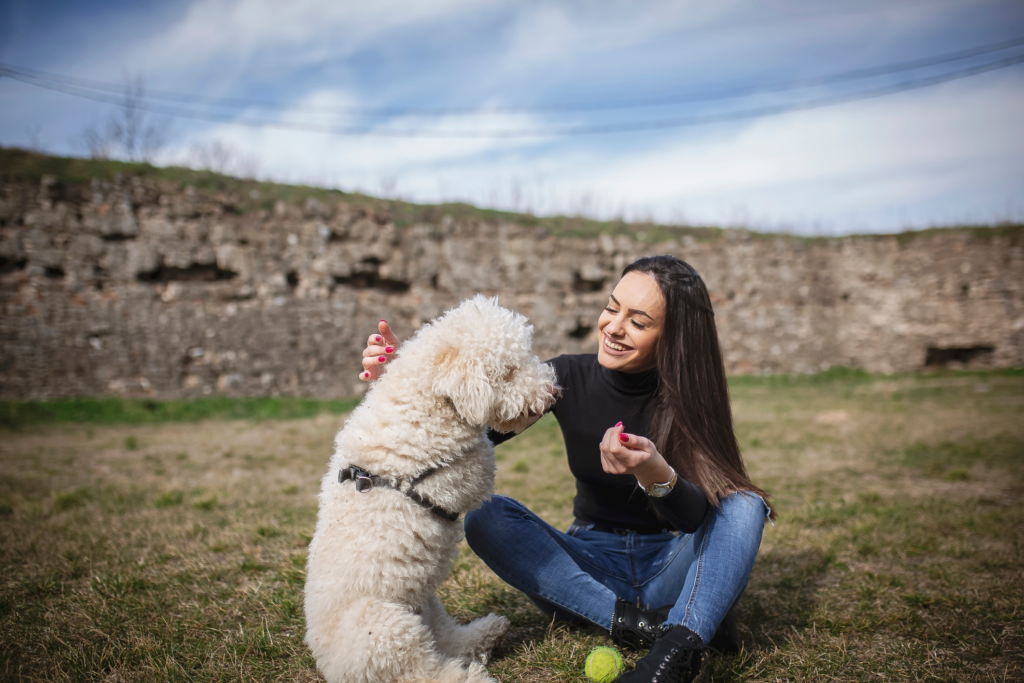 Understanding pet sitting certifications for sitters and dog walkers - Care.com 2 wp header logo 174
