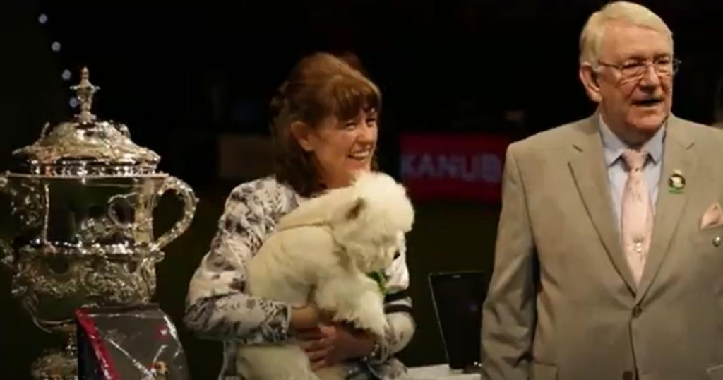 County Durham Crufts champion returns to judge category she won nine years ago - The Northern Echo 2 wp header logo 175