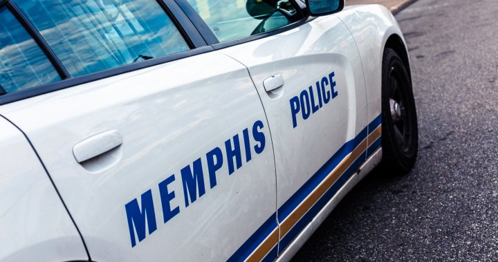 That’s ruff: Tennessee man says he was shot by his dog - Global News Kingston 2 wp header logo 221