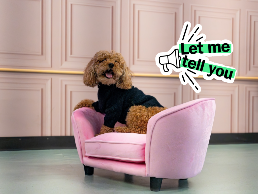 I took my dog to this $1,350 a-month doggie daycare in Tribeca and spoke to a pet psychic - Time Out 2 wp header logo 223