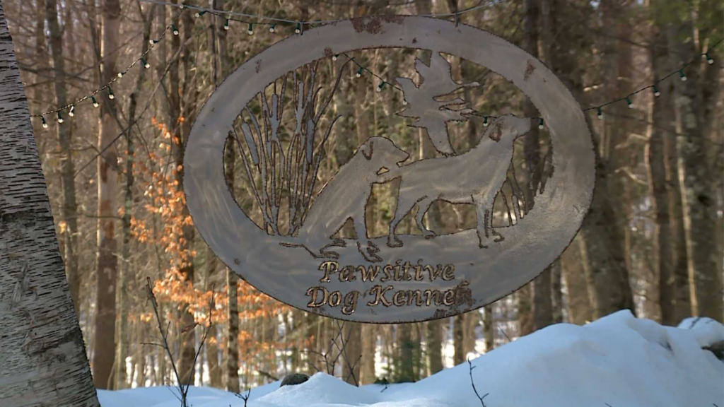 Maine authorities reveal person responsible for double murder at Farmington dog kennel - WMTW Portland 2 wp header logo 235