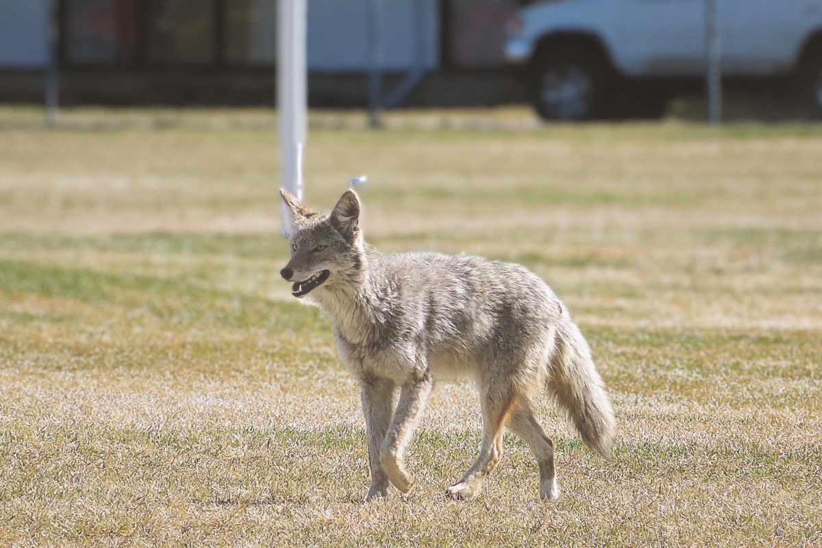 Home 31 wp header logo 249