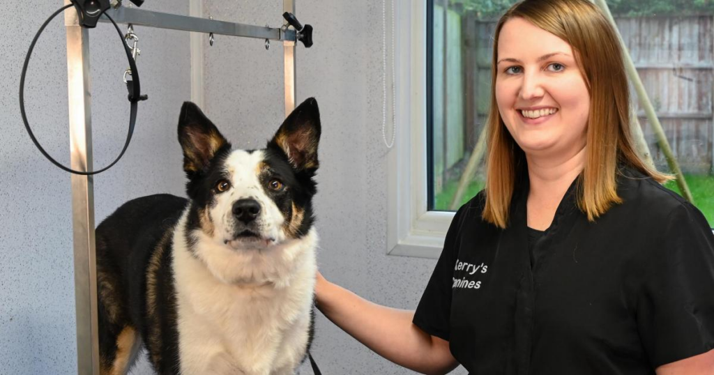 Kerry's Canines to celebrate one year in style - Worcester News 2 wp header logo 277