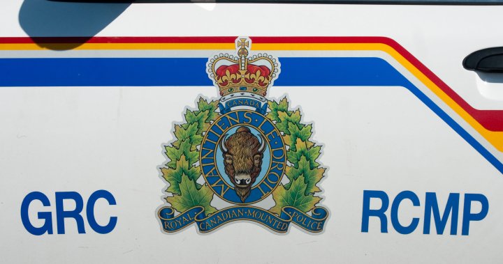 Airdrie resident hospitalized after being attacked by 4 large dogs: RCMP - Global News Kingston 2 wp header logo 281