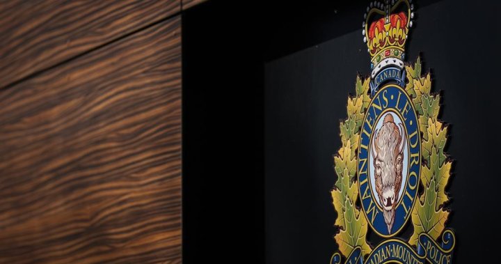 Nanaimo RCMP looking for man seen ‘beating a small brown dog’ - Global News Kingston 2 wp header logo 292