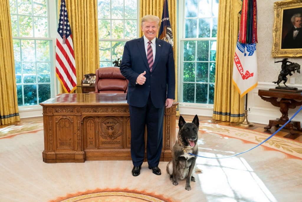Bomb sniffing K-9s become latest DOGE victims – hours after Trump shared 2019 pic with hero dog - The Independent 2 wp header logo 297