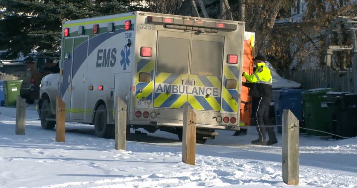 ASIRT investigating after Calgary police dog bites a child - Global News Kingston 2 wp header logo 330