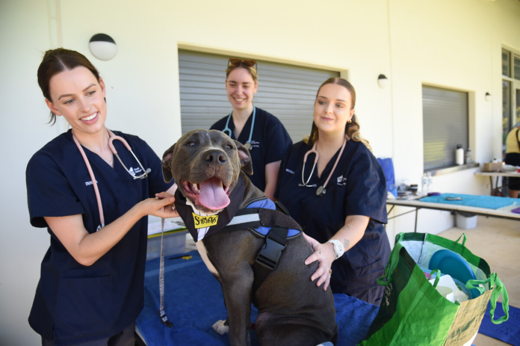 Free dog health checks in Thornlie - Examiner Newspapers Perth 2 wp header logo 369