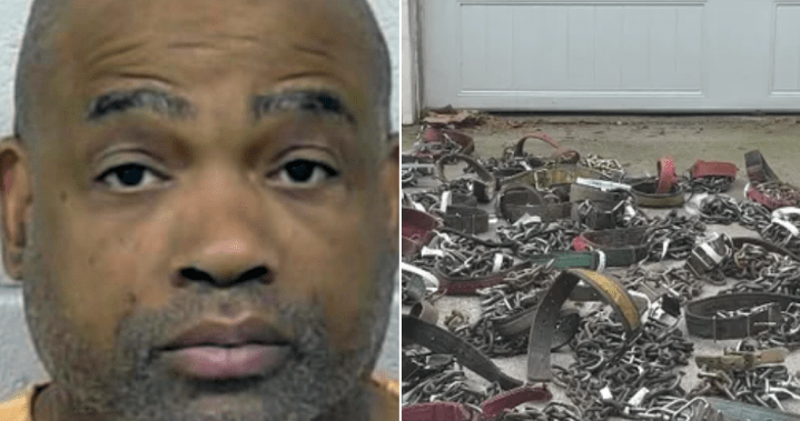 Georgia man sentenced to 475 years for underground dogfighting ring - Global News Kingston 2 wp header logo 382