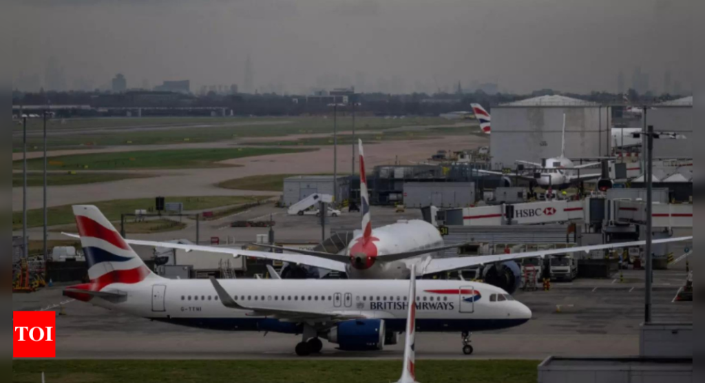 Florida woman drowns dog in airport bathroom after being denied boarding, arrested - The Times of India 2 wp header logo 383