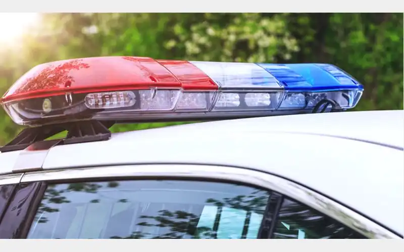 Viral Video Leads to Dog Grooming Business Investigation - connectradio.fm 2 wp header logo 385
