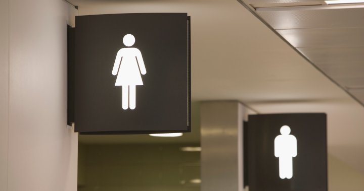 Florida woman drowned her dog in Orlando airport bathroom, police say - Global News Kingston 2 wp header logo 389