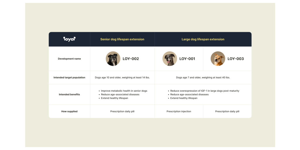 Loyal Receives FDA Acceptance of Reasonable Expectation of Effectiveness for Senior Dog Lifespan Extension - Business Wire 2 wp header logo 417
