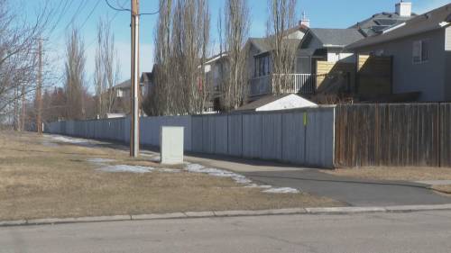 4 dogs seized after man attacked in Airdrie - Global News Kingston 7 wp header logo 463