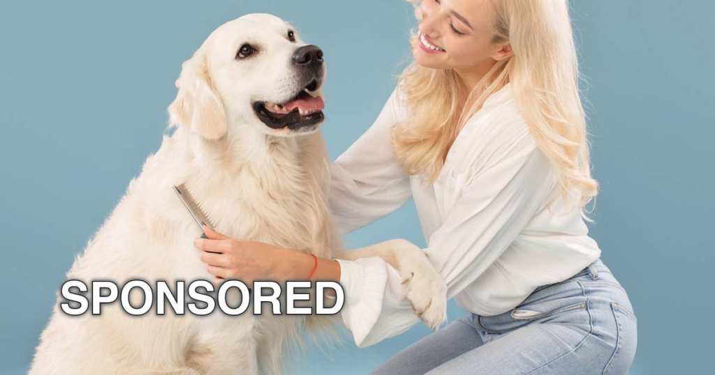 Get Your Pet Ready For Spring With These Tips - Shaw Local News Network 11 wp header logo 74